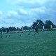 P1060860.JPG